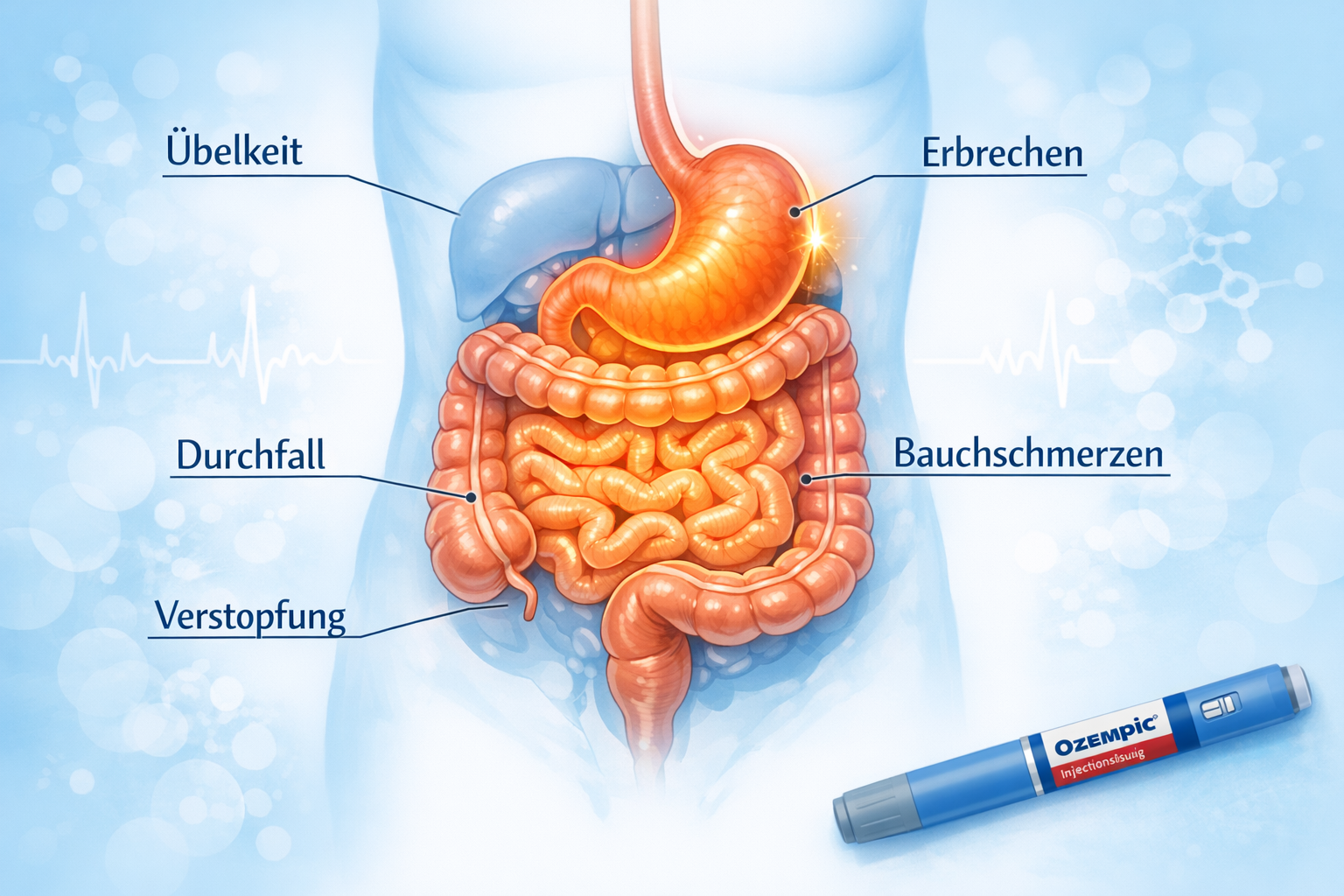 editorial illustration showing a detailed anatomical diagram of the human digestive system with German labels