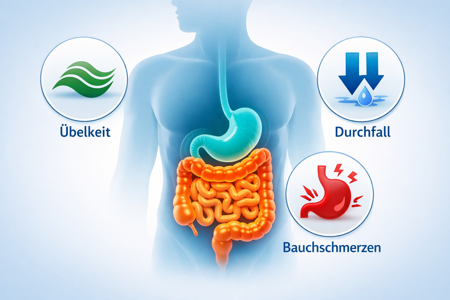 Detailed () illustration showing a human digestive system silhouette with highlighted stomach and intestines in teal and